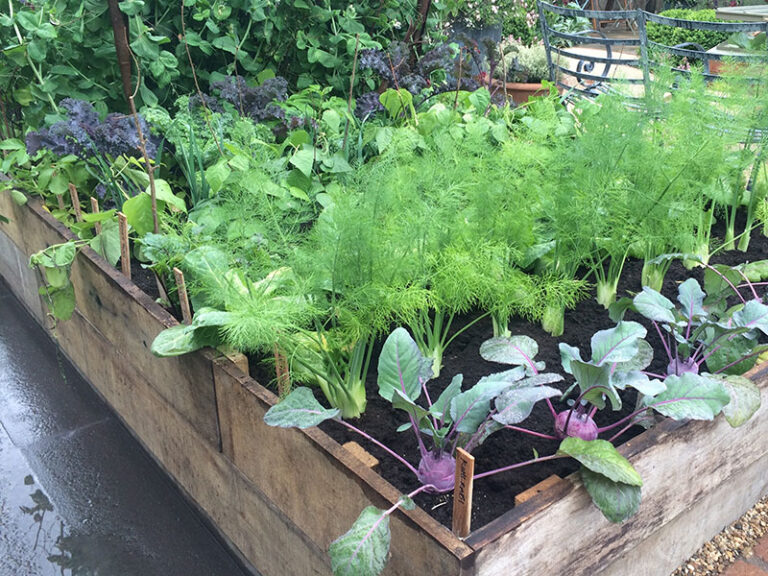 Så fungerar växtföljd och växelbruk